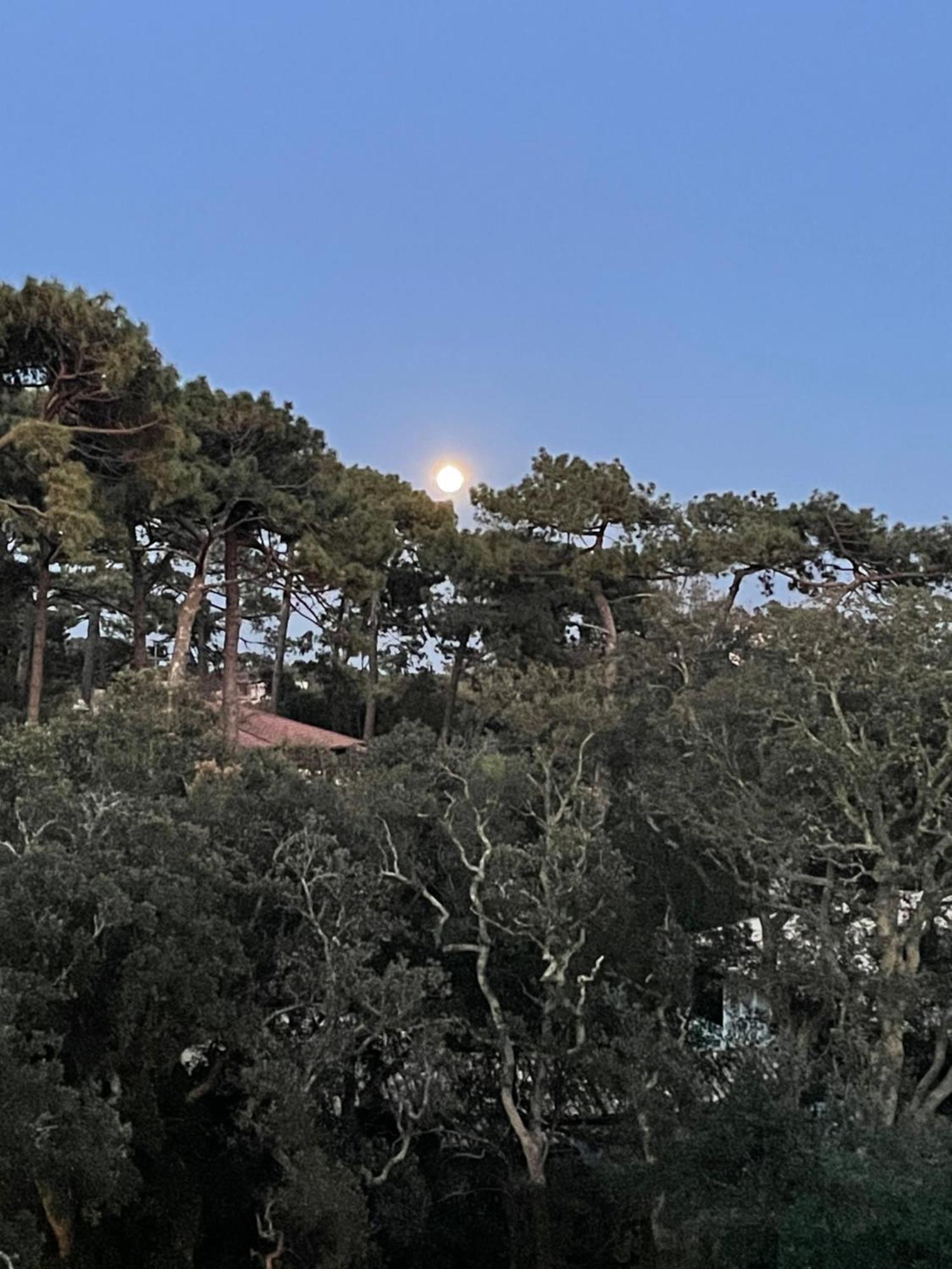 Ferienwohnung Tao Soorts-Hossegor Exterior foto